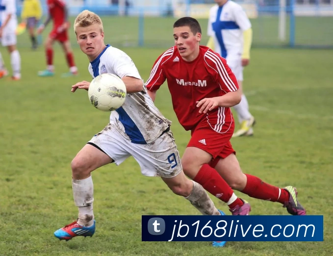 九博国际平台生态图